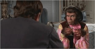 POTA Grapefruit plus