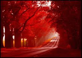 red road