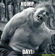 hump day