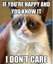 Grumpy Cat - happy I don't care