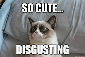 grumpy cat - so cute disgusting